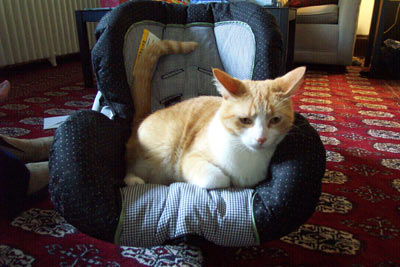 kevincarseat0711.jpg