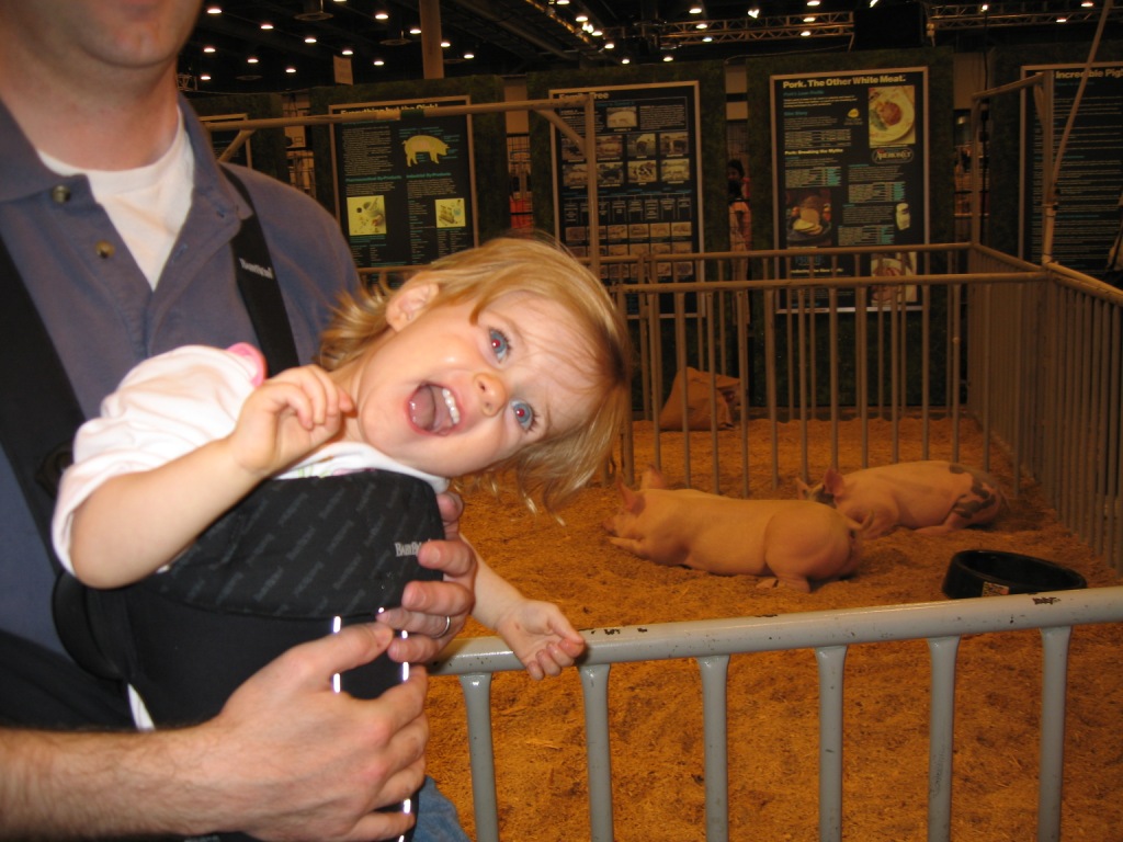 030406_RodeoPigsLaughBlog.jpg