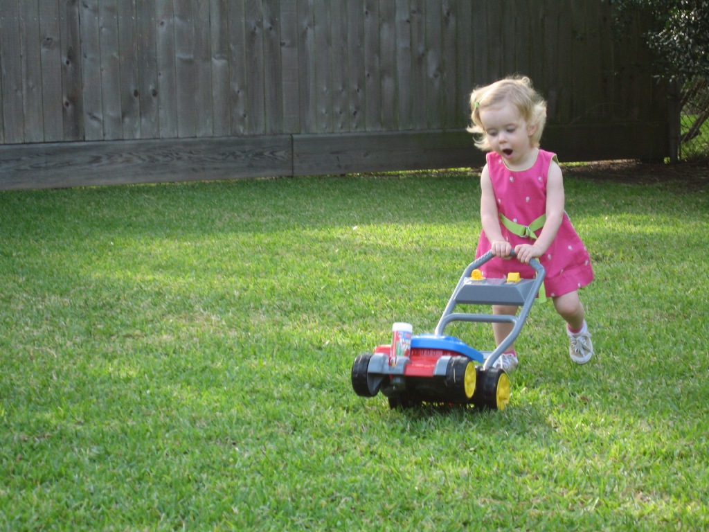 041606_EnthusiasticMowerBlog.jpg