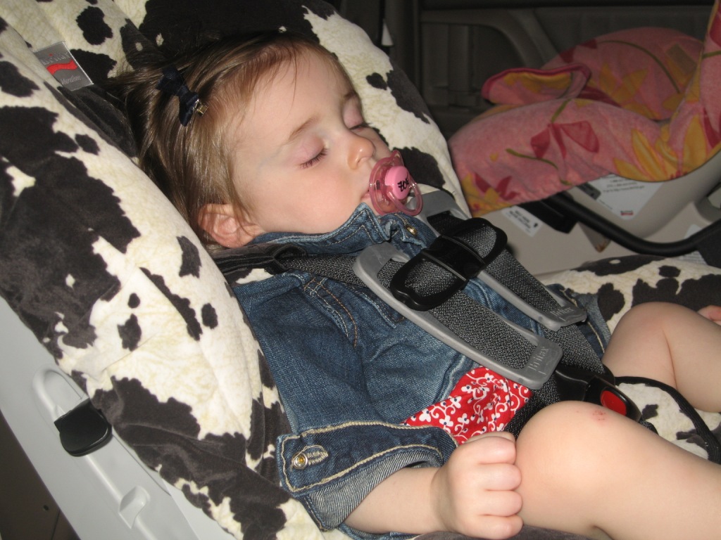 042309_CarSleepingZoeBlog.jpg