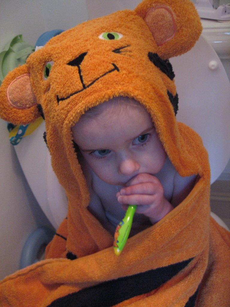 041407_TigerTowelBlog.jpg