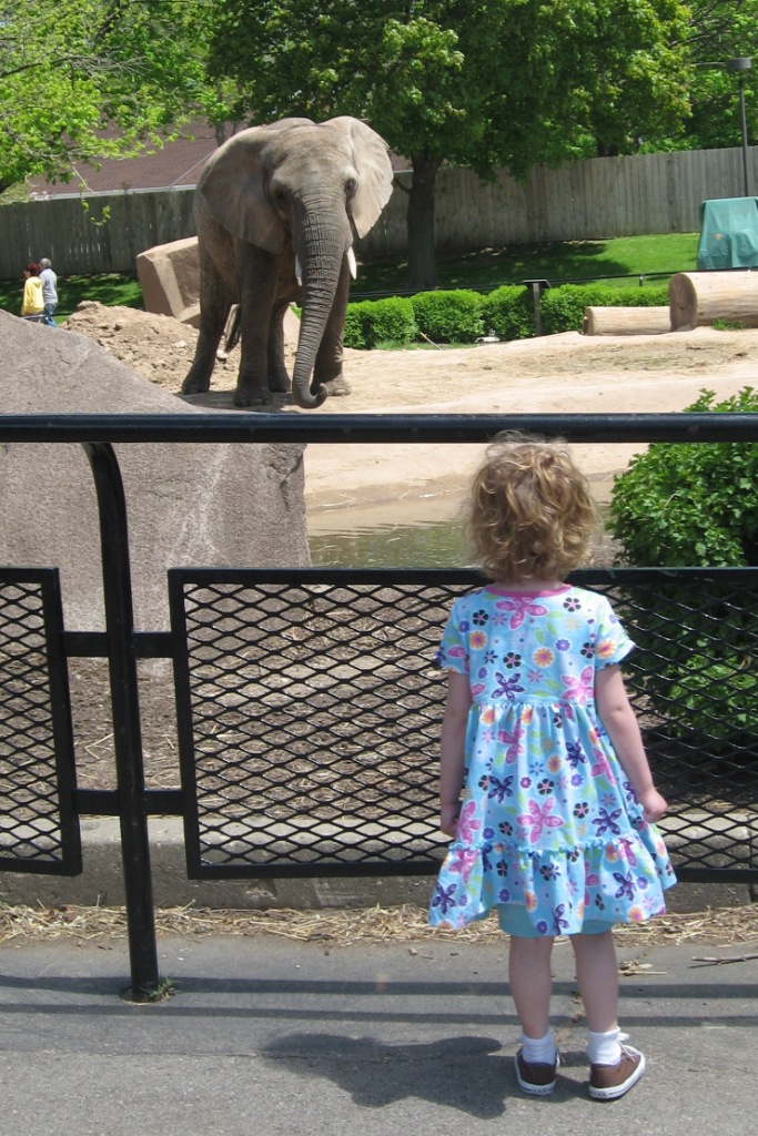 051708_LandElephantBlog.jpg