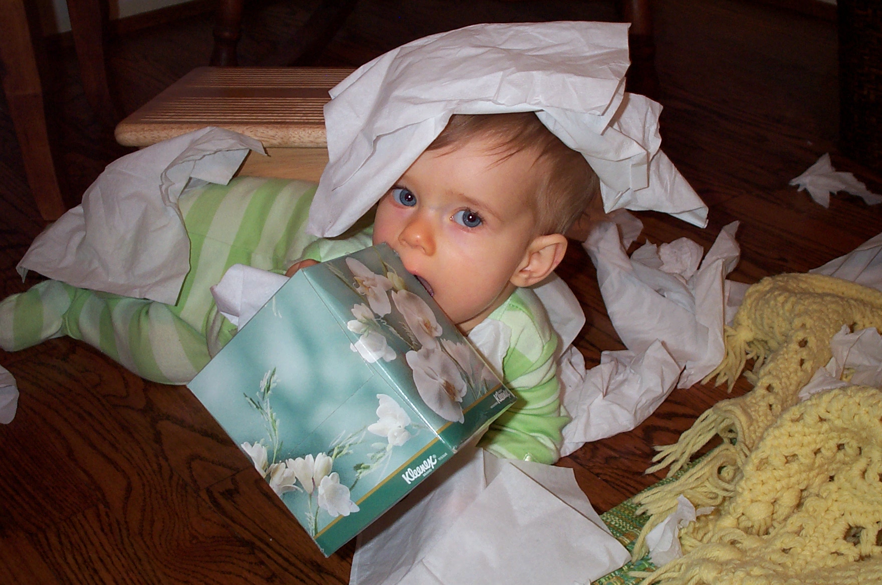 080105_WearingKleenex.jpg