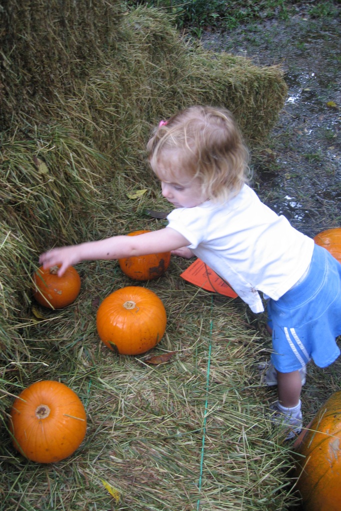 101406_SelectingSmallPumpkinBlog.jpg