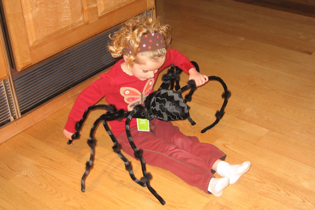 100408_BigSpiderBlog.jpg