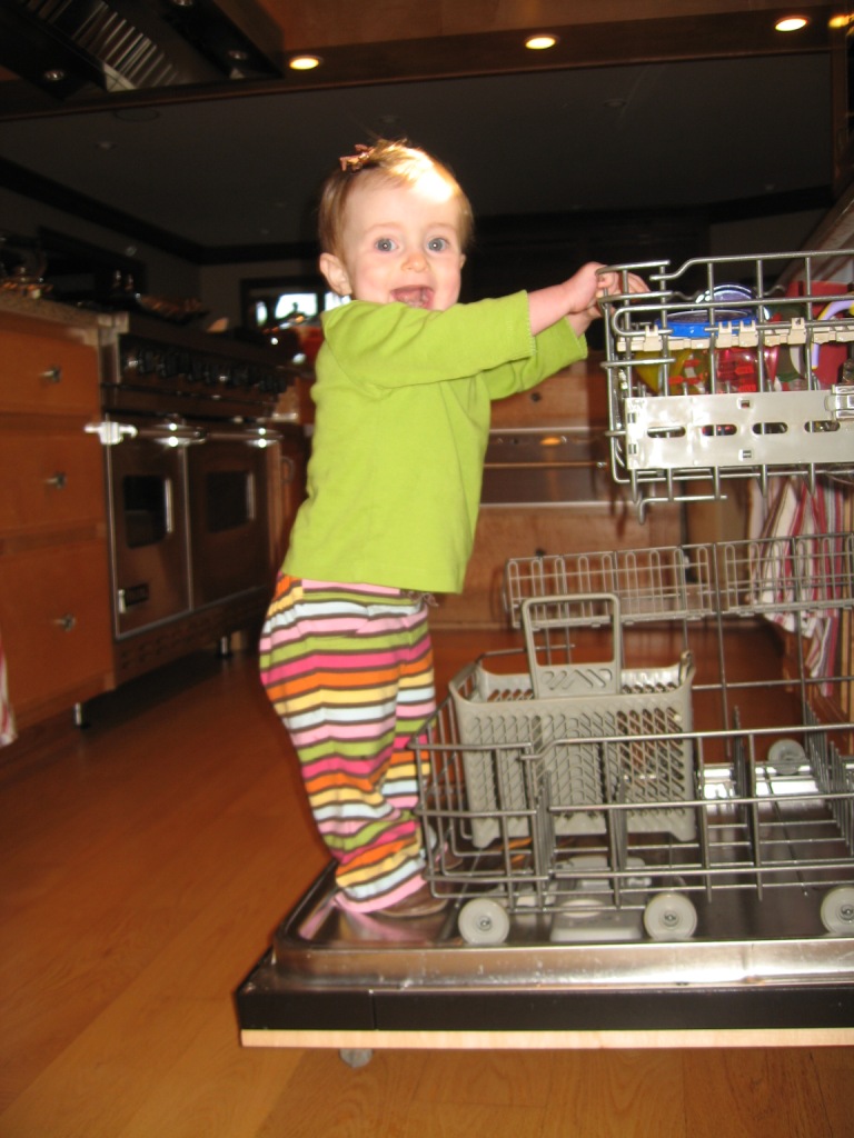 100408_DishwasherSmileBlog.jpg