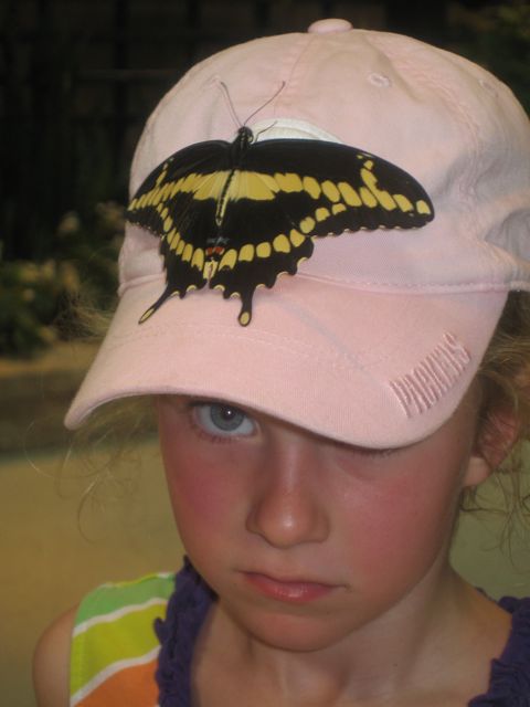 061311_LButterflyZoo.jpg